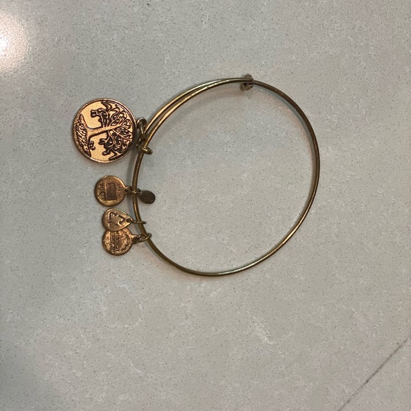 Alex and Ani Tree of Life Bracelet Bronzed Gold - Picture 2 of 4